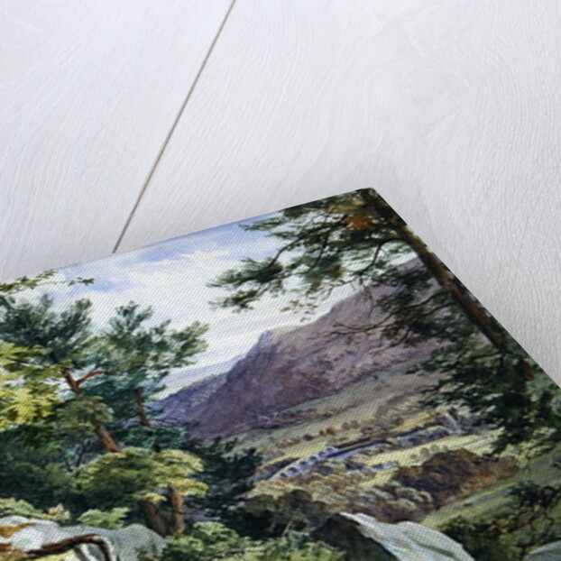 View of Craig-y-Barns, Dunkeld, Looking South, 1855 by John Henry Mole