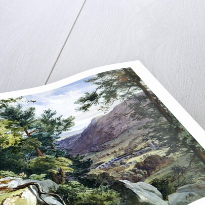 View of Craig-y-Barns, Dunkeld, Looking South, 1855 by John Henry Mole