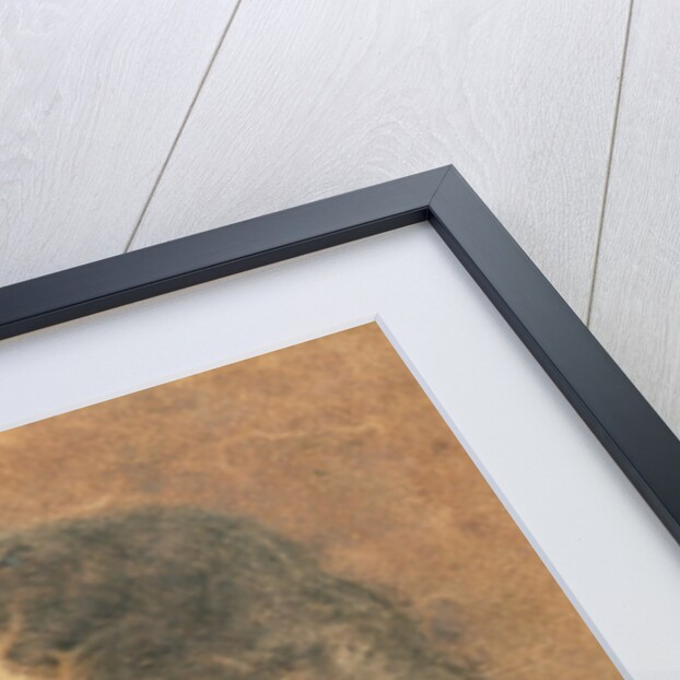 Charles II king of England, c.1675 by Peter Lely