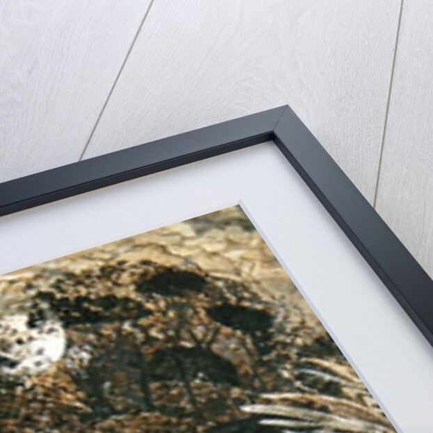 A moonlit scene with a winding river, 1827 by Samuel Palmer