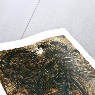 A moonlit scene with a winding river, 1827 by Samuel Palmer