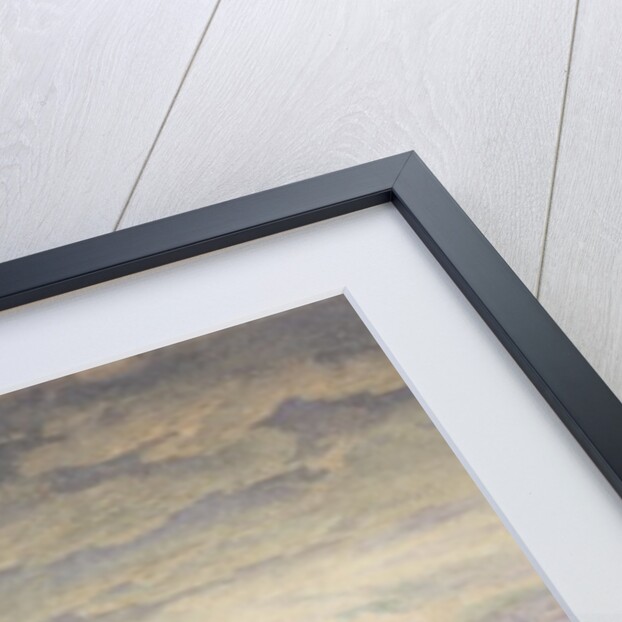 The Bass Rock at Dawn, 1855 by Edward Duncan