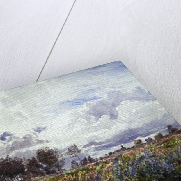 Showery June, Picardy, c.1870 by Henry Moore