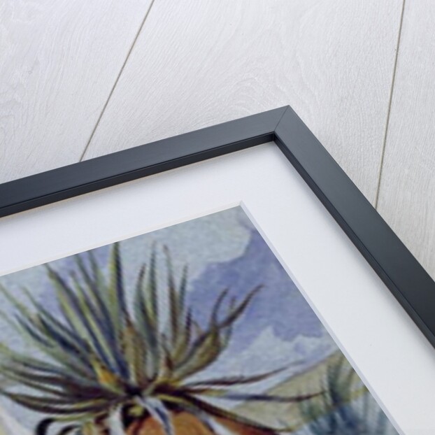 Villa Massimi, Rome by Harry John Johnson