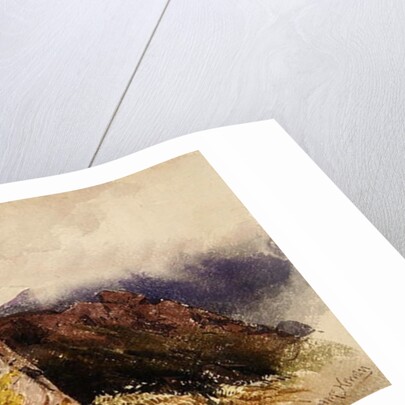 Mountain Rocks by David Hall McKewan