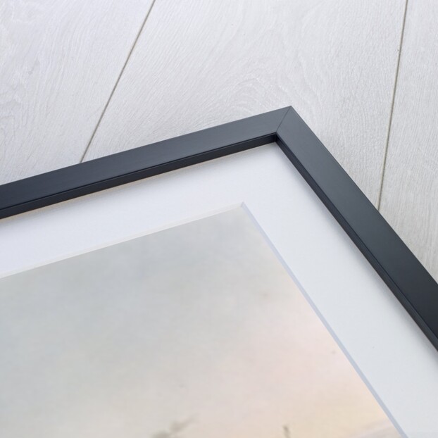 Carting and Putting Sugar Hogsheads on Board' by William Clark