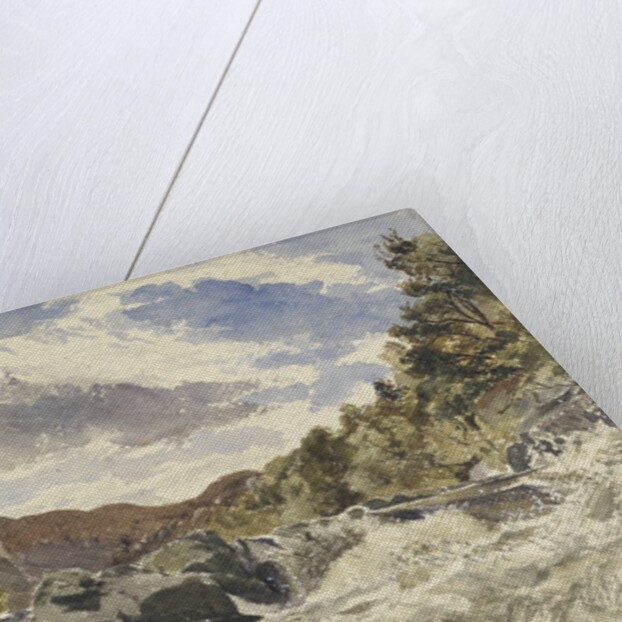 A Mountain Torrent by William James Muller