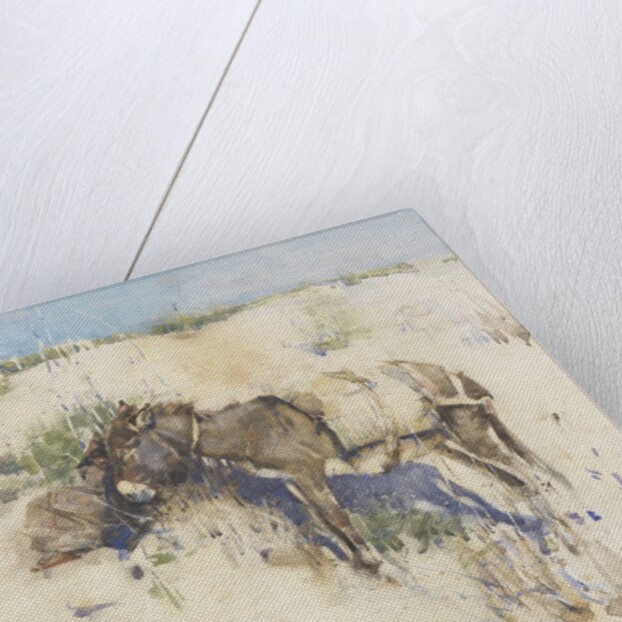 Tangier, 1887 by Joseph Crawhall