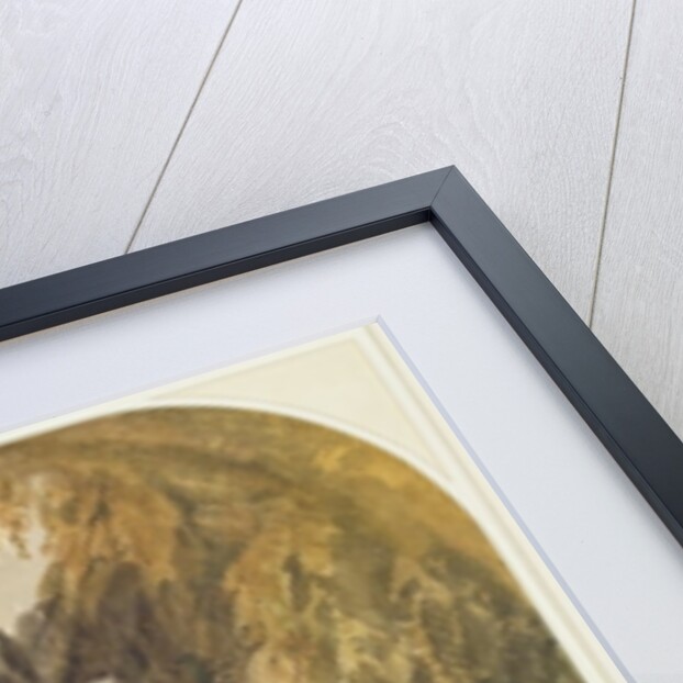 Near the Caravan Bridge, Smyrna, 1843 by William James Muller