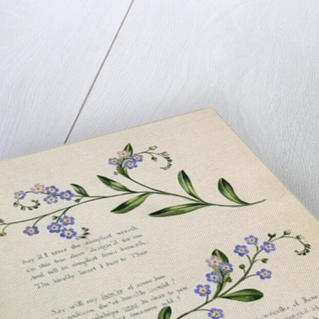 Poetry by English School