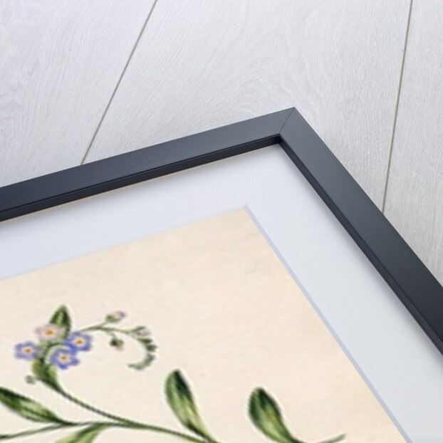 Poetry by English School