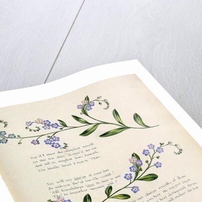 Poetry by English School