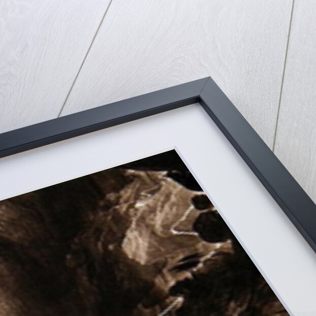 The Deluge, c.1828 by John Martin