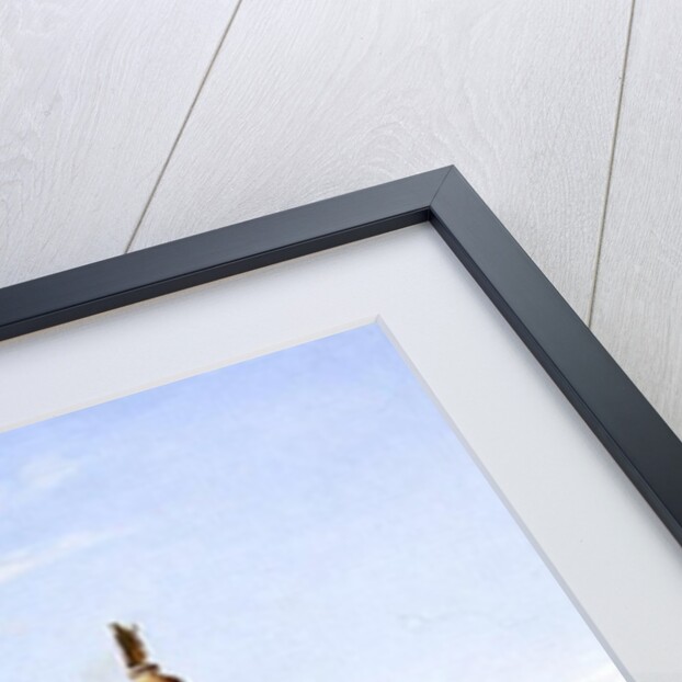 A View of Trajan's Forum, Rome, 1821 by Charles Lock Eastlake