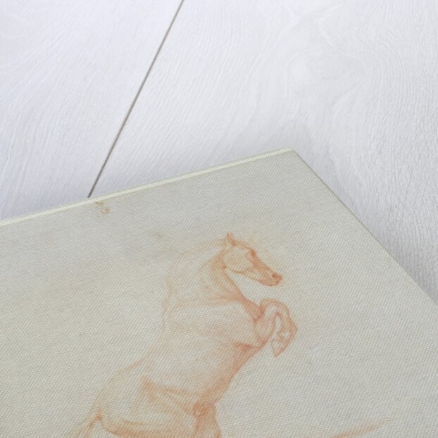 A Prancing Horse, facing right, 1790 by George Stubbs