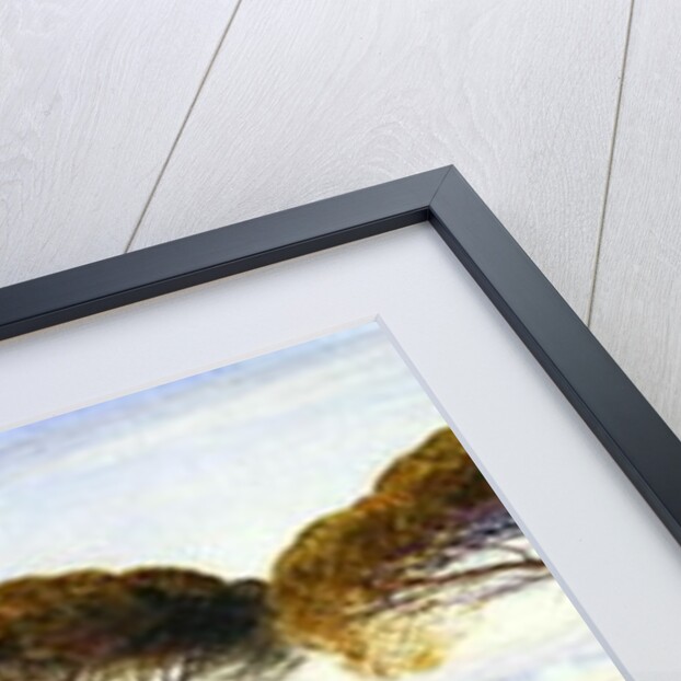 A View of the Pine Woods Above Cannes, 1869 by Edward Lear