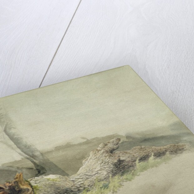 The Fallen Tree, c.1804 by Robert Hills