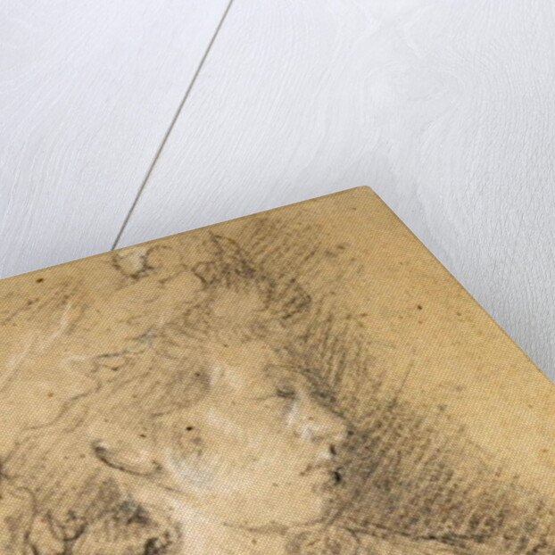 Study of a woman in a Mob Cap by Engraved by Luigi Schiavonetti