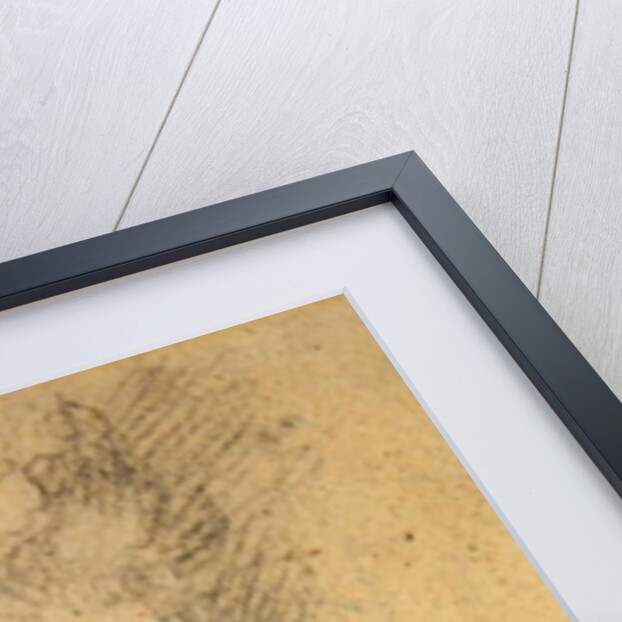 Study of a woman in a Mob Cap by Engraved by Luigi Schiavonetti