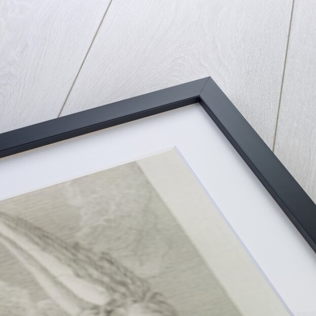 The Meeting of a Family in Heaven, pl.4 by William Blake