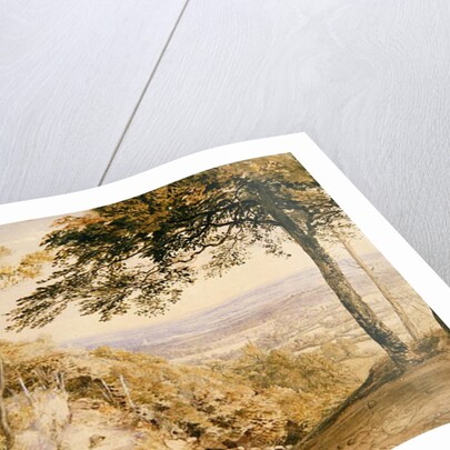 Wilmot's Hill, Kent by Samuel Palmer