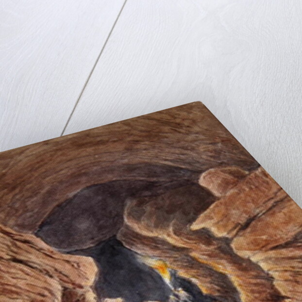 Views, Northern Europe, Volume 1 by Charles Hamilton Smith