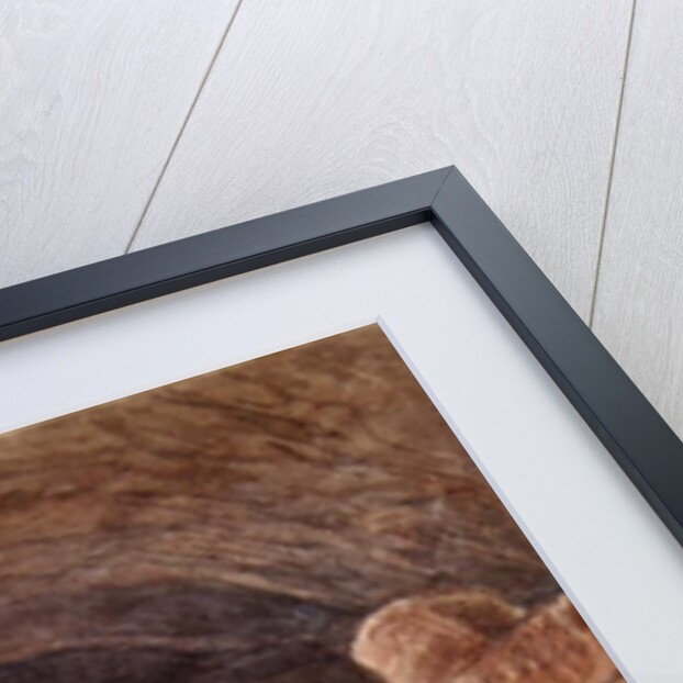 Views, Northern Europe, Volume 1 by Charles Hamilton Smith