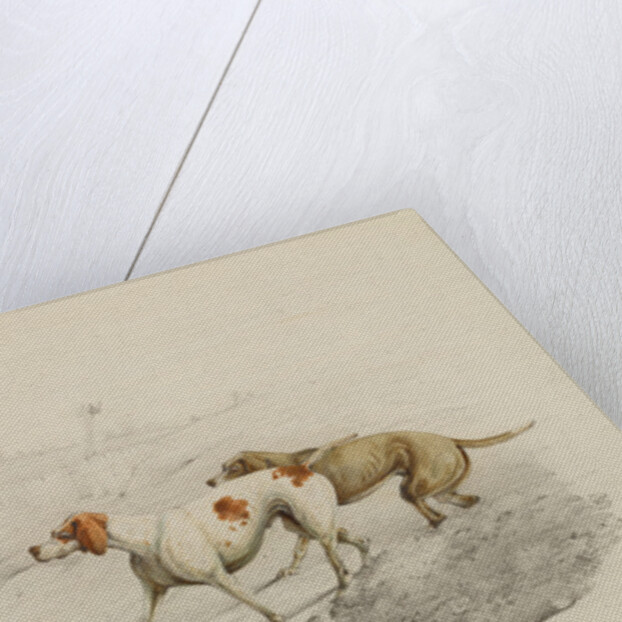 Two Pointers, facing left by Henry Thomas Alken