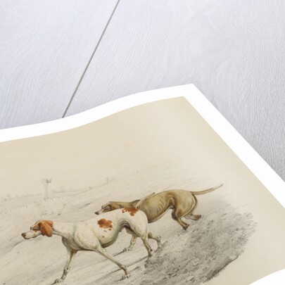 Two Pointers, facing left by Henry Thomas Alken