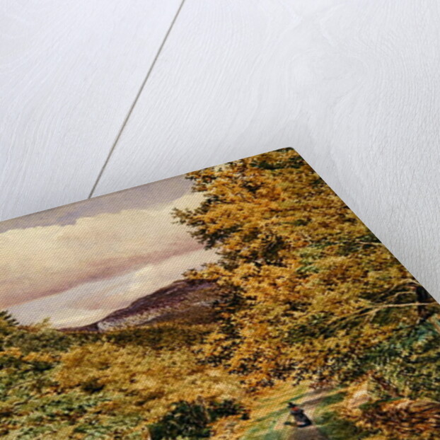 A Road near Bettws-y-Coed, 1851 by George Price Boyce