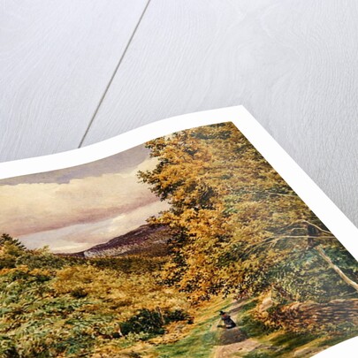 A Road near Bettws-y-Coed, 1851 by George Price Boyce