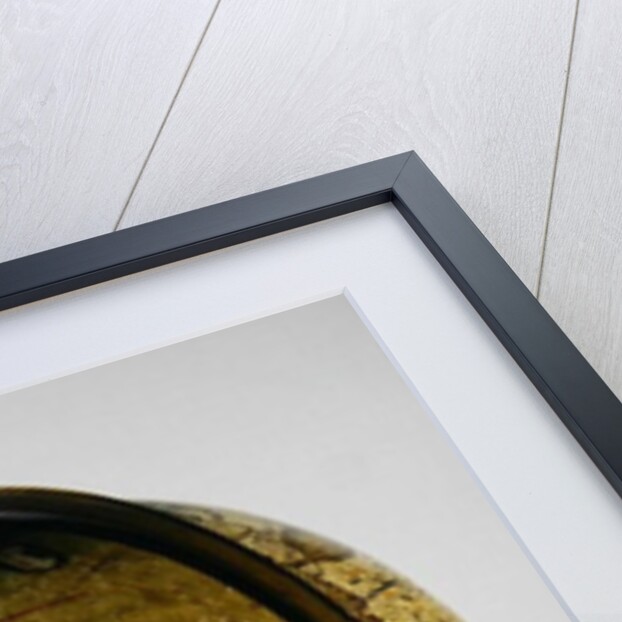 Terrestrial Globe, one of a pair known as the 'Brixen' globes, c.1522 by Martin  Waldsemuller