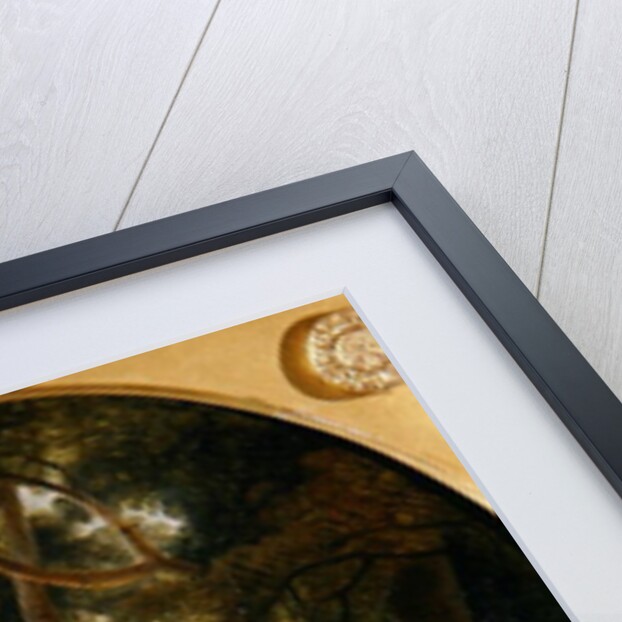 Kashmir Goats, c.1780-1820 by William Daniell