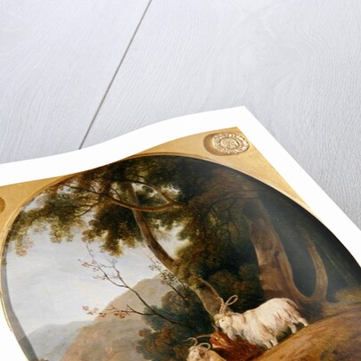 Kashmir Goats, c.1780-1820 by William Daniell
