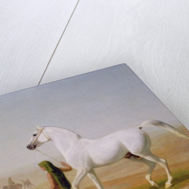 The Wellesley Grey Arabian led through the Desert, c.1810 by Jacques-Laurent Agasse