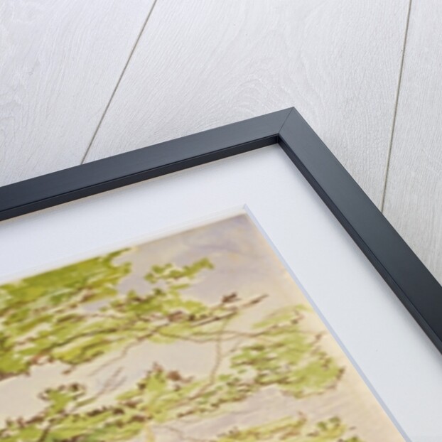 On the Road, Two Hours from Tepelene, 19 April 1857 by Edward Lear