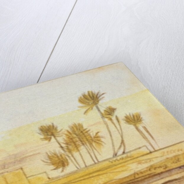 Near Wady Halfeh, 5:30pm, 6 February 1867 by Edward Lear