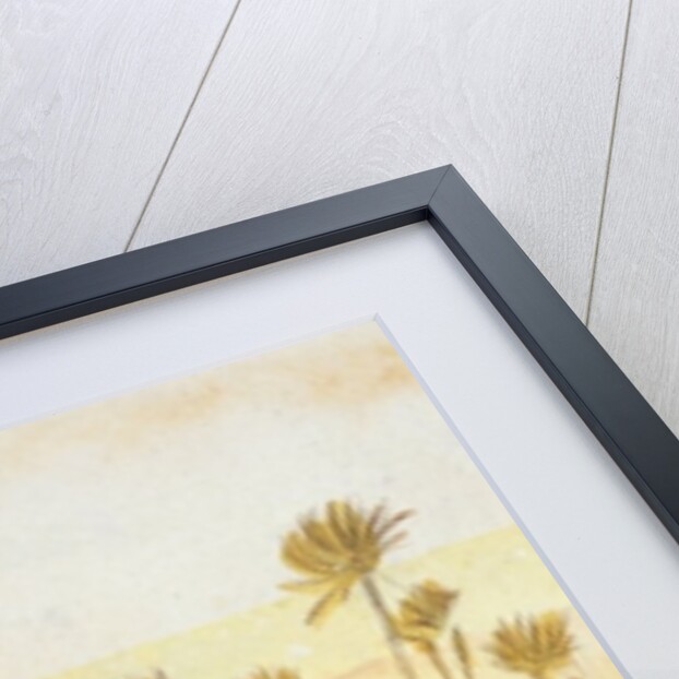 Near Wady Halfeh, 5:30pm, 6 February 1867 by Edward Lear