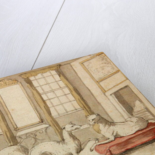 Three Greyhounds in a room by Pieter Casteels