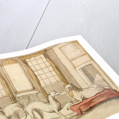 Three Greyhounds in a room by Pieter Casteels