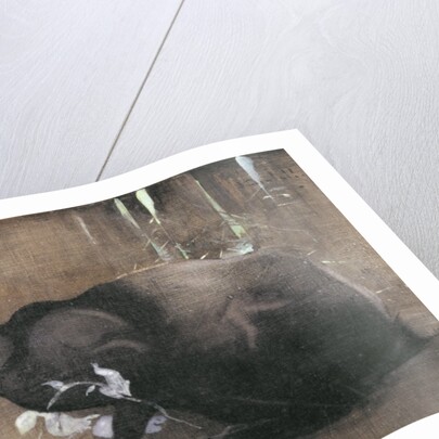 A Black Rabbit by Joseph Crawhall