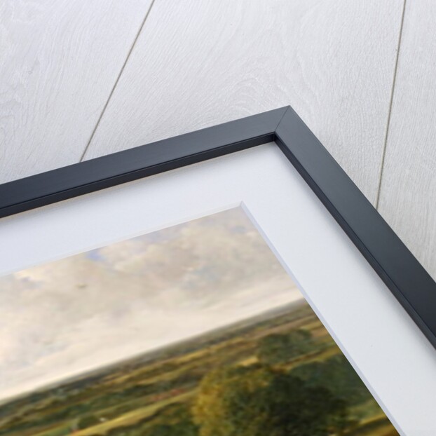 Exercising the royal horses, 1847-55 by John Frederick Herring Snr