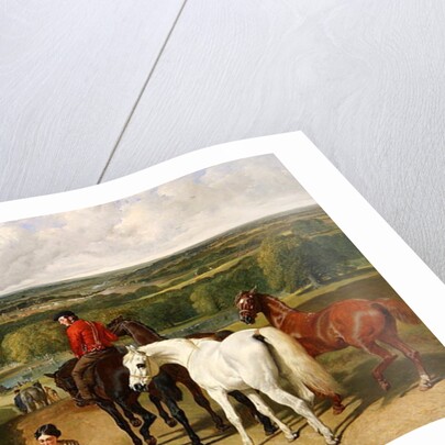 Exercising the royal horses, 1847-55 by John Frederick Herring Snr