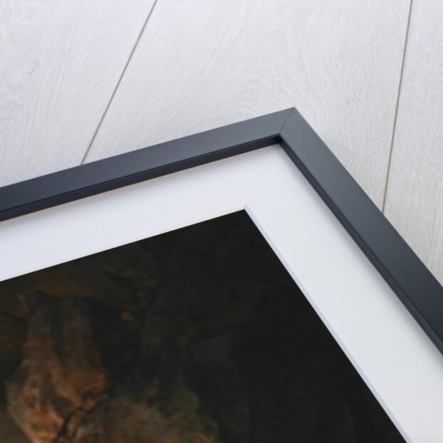 Tiger in a cave, c.1814 by Jacques-Laurent Agasse