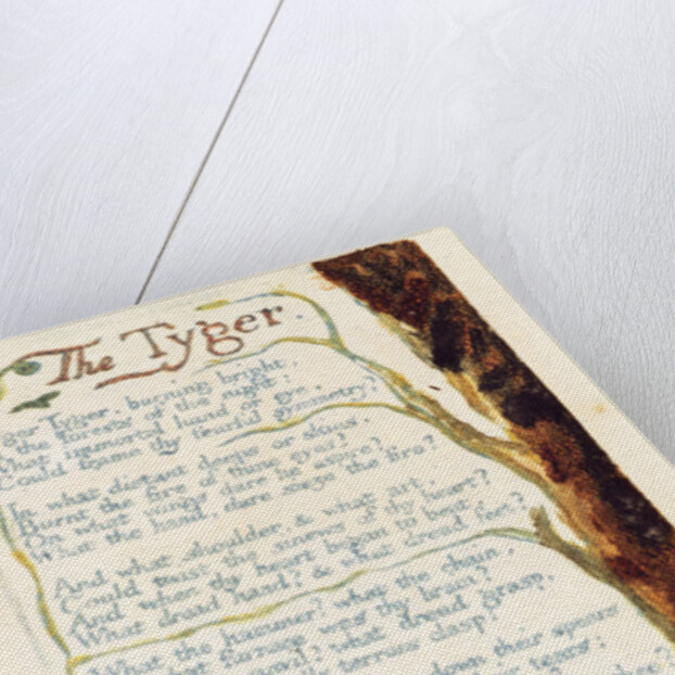 The Tyger by William Blake