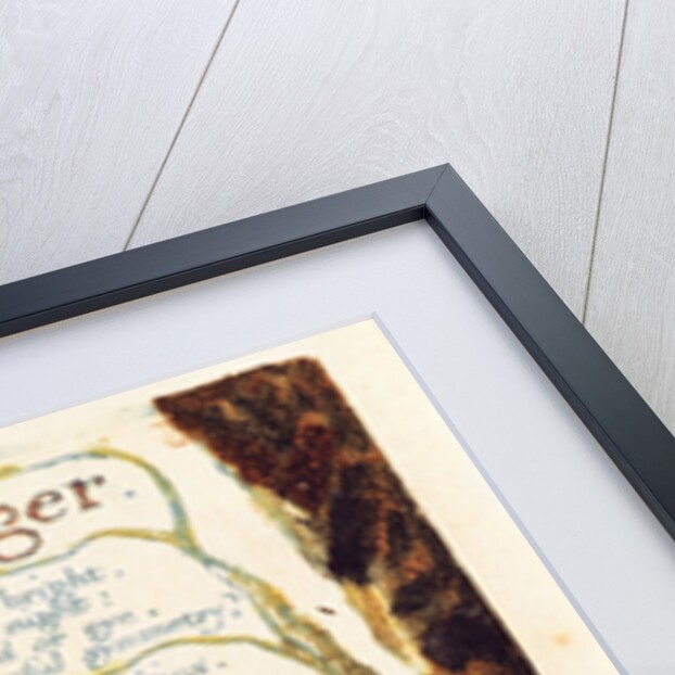 The Tyger by William Blake