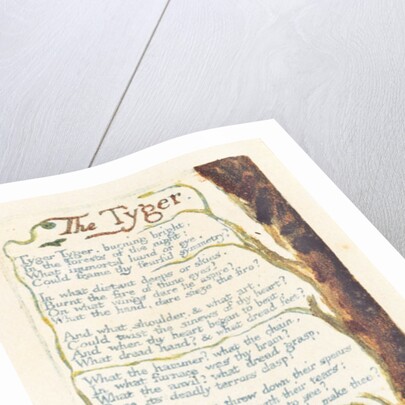 The Tyger by William Blake