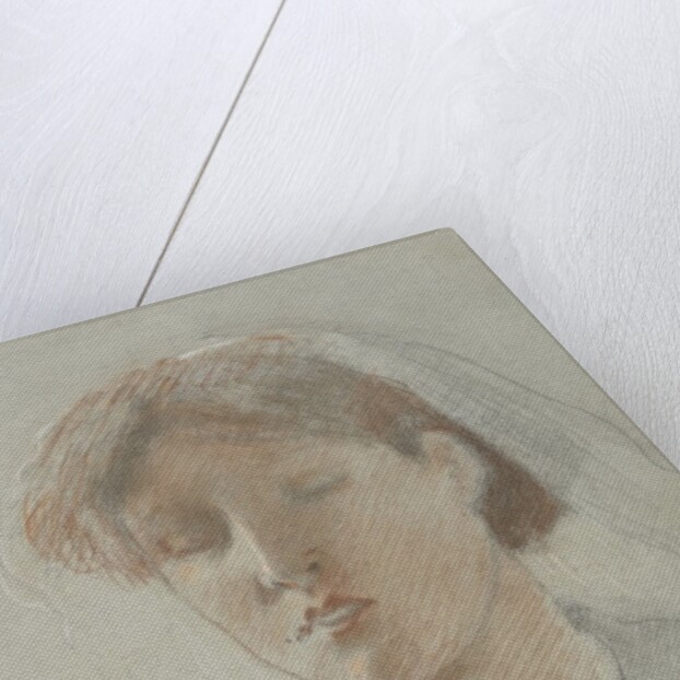 The Artist's Wife, Emma, on her Wedding Day by Ford Madox Brown