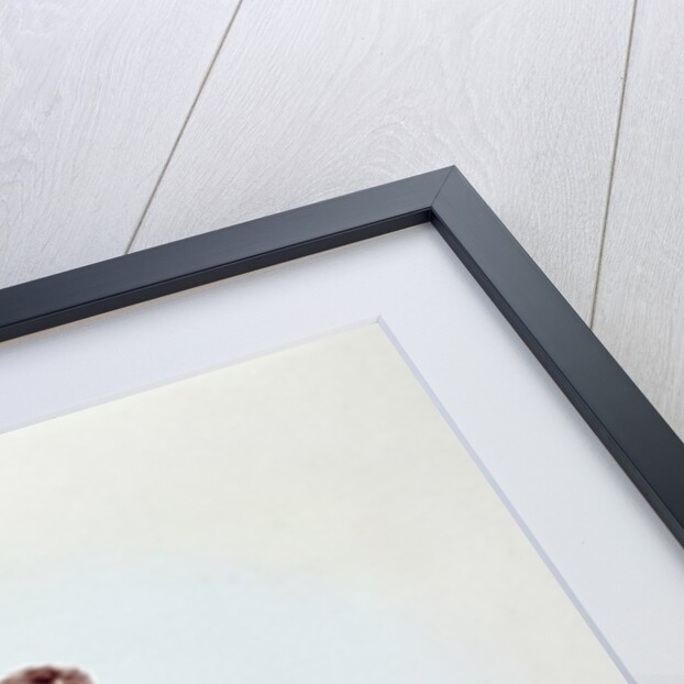 The Sassaybe and the Hartebeest by William Cornwallis Harris