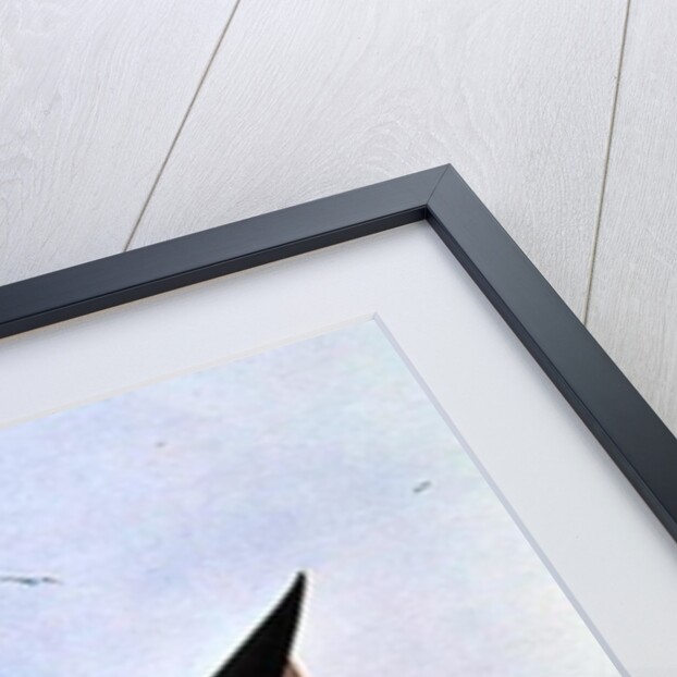 The Great Auk by Edward Lear